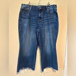 Vigoss Royce 70's High Rise Raw Hem Jeans Women's‎ Size 18 Plus Size
